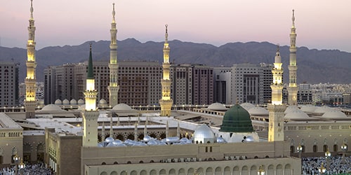 القاهرة - المدينة المنورة flight ticket
